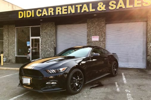 Mustang shown in Gloss black and Partial Golden wrap